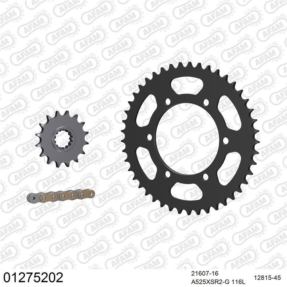 AFAM AF01275202 A525XSR2-G 116L Chain & 16-45T Steel Sprocket Kit for Yamaha Tracer 700 20-23