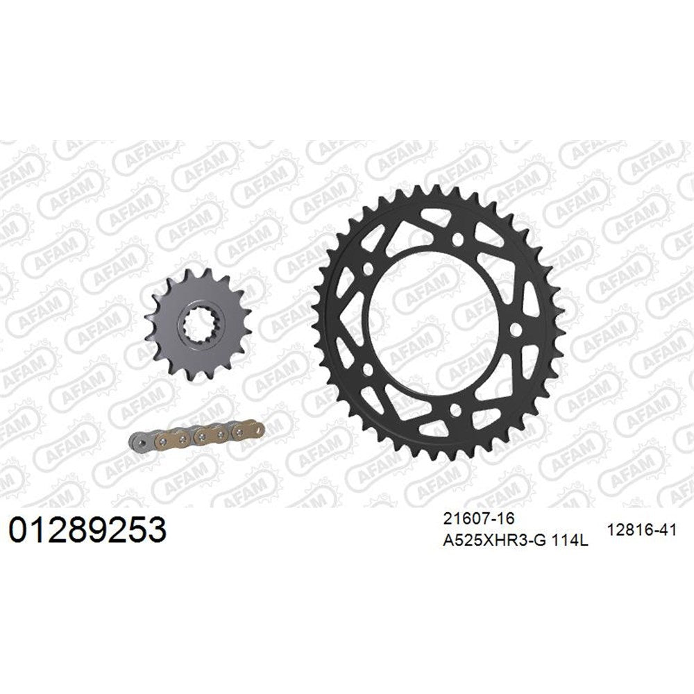AFAM AF01289253 A525XHR3-G 114L Chain & 16-41T Steel Sprocket Kit for Yamaha YZF-R1/M 15-22