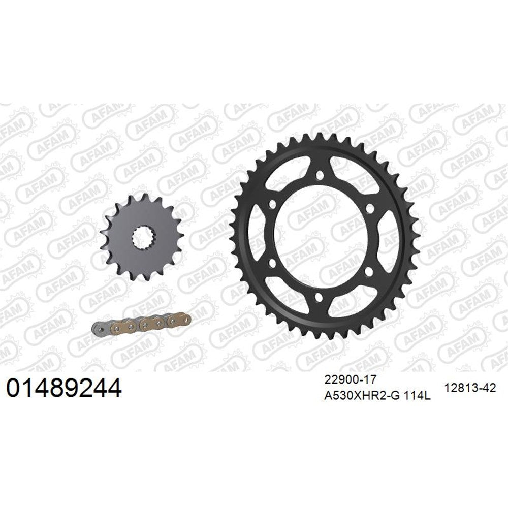 AFAM AF01489244 A530XHR2-G 114L Chain & 17-42T Steel Sprocket Kit for Suzuki GSXR1000 09-16