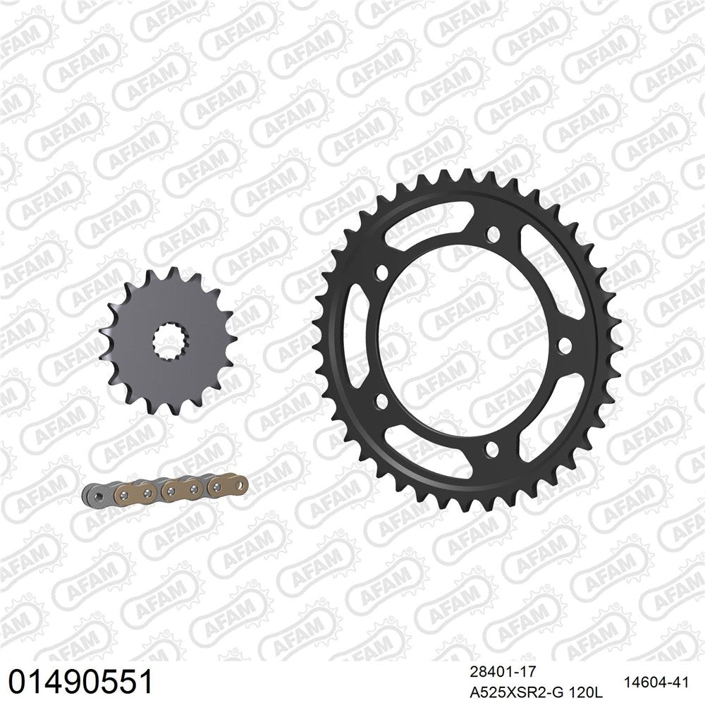 AFAM AF01490551 A525XSR2-G 120L Chain & 17-41T Steel Sprocket Kit for Suzuki DL1050 V-Strom 20-22