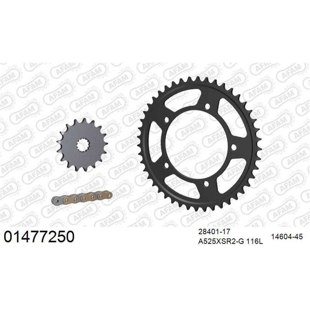 AFAM AF01490552 A525XSR2-G 120L Chain & 17-45T Steel Sprocket Kit for Suzuki V-Strom 1050 (DE) 2023