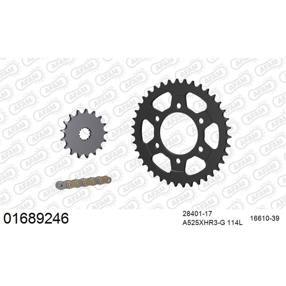 AFAM AF01689246 A525XHR3-G 114L Chain & 17-39T Steel Sprocket Kit for Kawasaki ZX-10R 16-20
