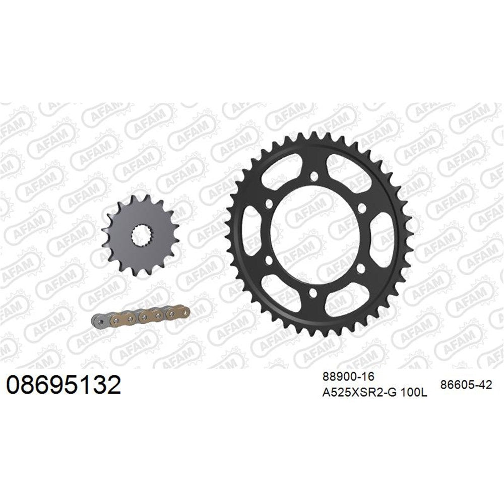 AFAM AF08695132 A525XSR2-G 100L Chain & 16-42T Steel Sprocket Kit for Triumph Thruxton 1200 16-23