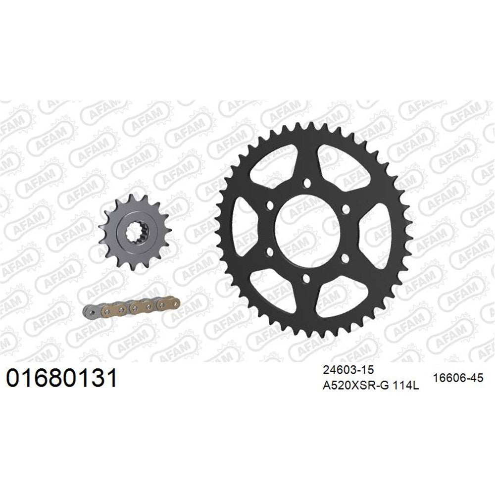 AFAM AFKIT102611 A520XSR-G 114L Chain & 15-45T Steel Sprocket Kit for Yamaha MT-09/Tracer/XSR900 13-20
