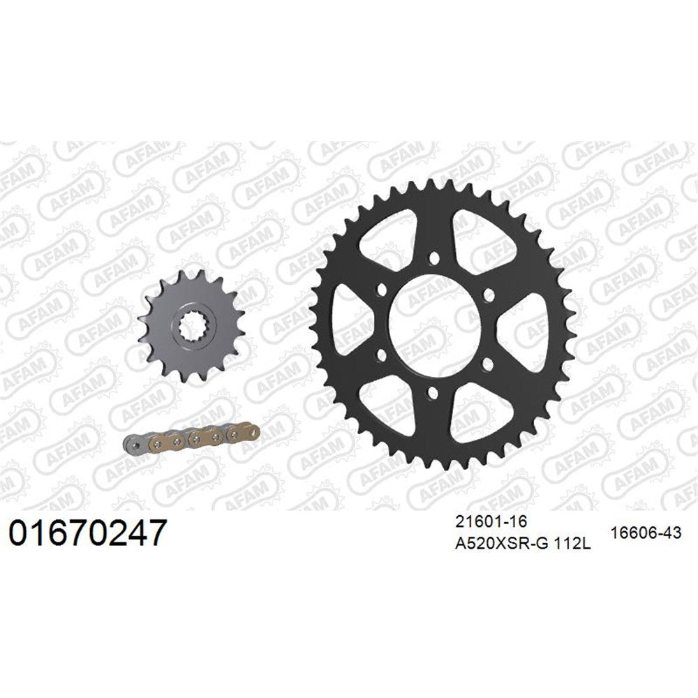 AFAM AFKIT102981 A520XSR-G 112L Chain & 16-43T Steel Sprocket Kit for Suzuki DR-Z400 S/SE 00-24