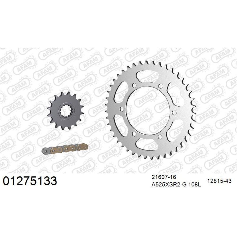 AFAM AFKIT103191 A525XSR2-G 108L Chain & 16-43T Steel Sprocket Kit for Suzuki DR650 SE 06-25