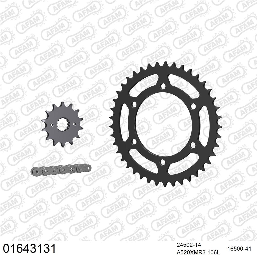 AFAM AFKIT104031 A520XMR3 106L Chain & 14-41T Steel Sprocket Kit for Suzuki GSF/GSX 1250 07-16
