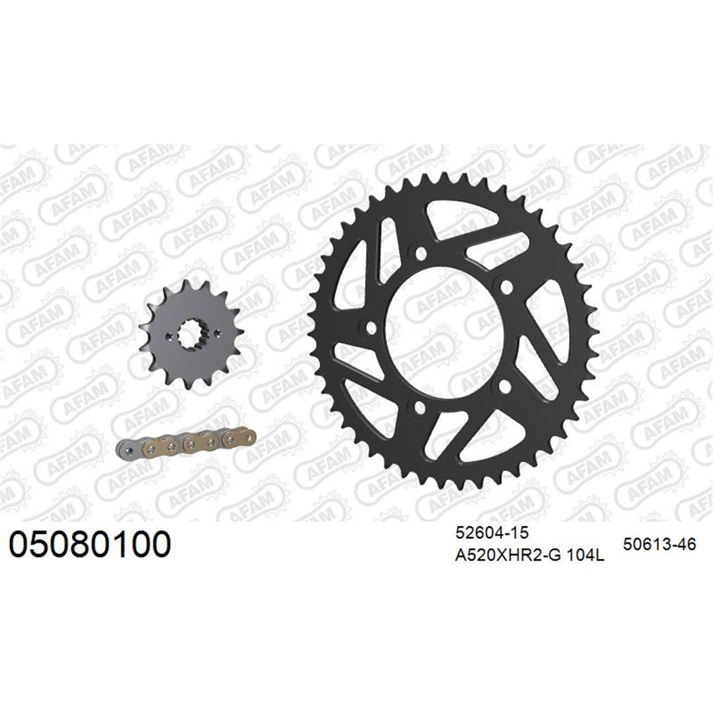 AFAM AFKIT107961 A520XHR2-G 104L Chain & 15-46T Steel Sprocket Kit for Triumph Bonneville 900 Models 16-25