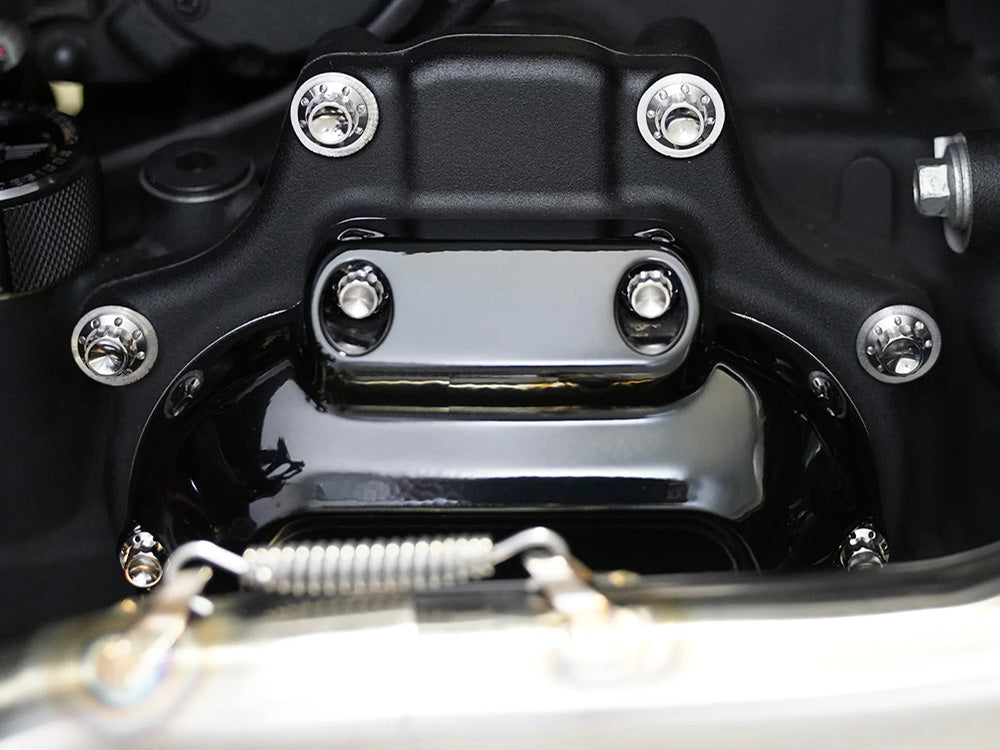 Arlen Ness AN-300-700 Titanium 12-Point Transmission Side Cover Bolt Kit Polished for Harley-Davidson Touring 24-Up/Softail 25-Up