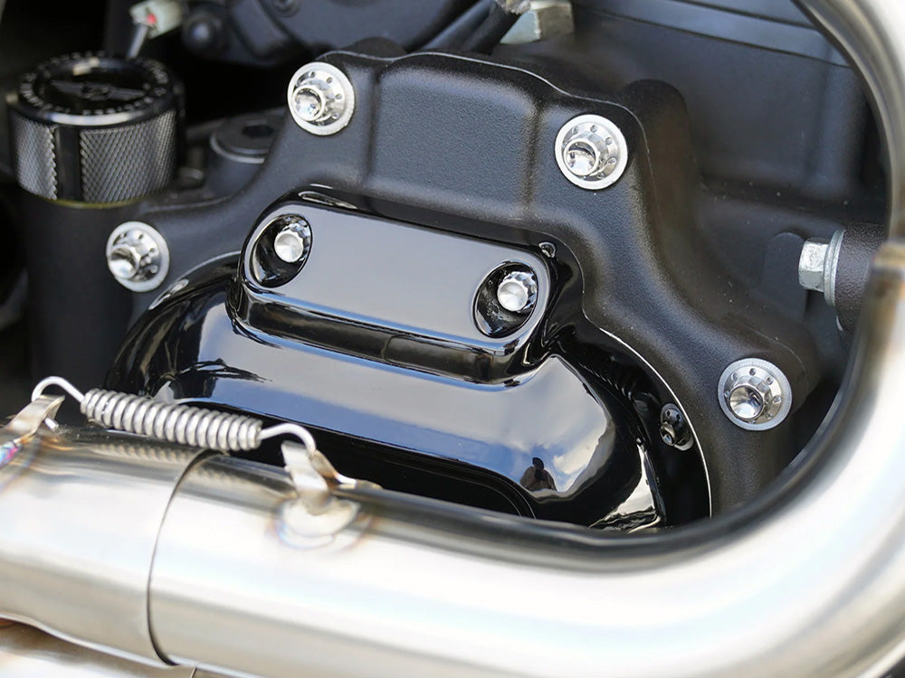 Arlen Ness AN-300-703 Titanium 12-Point Transmission Side Cover Bolt Kit Polished for Harley-Davidson Touring 07-23/Softail 07-24/Dyna 06-17