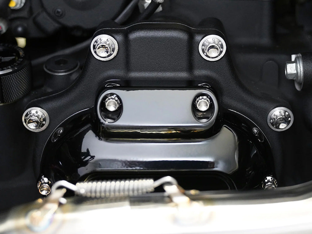 Arlen Ness AN-300-703 Titanium 12-Point Transmission Side Cover Bolt Kit Polished for Harley-Davidson Touring 07-23/Softail 07-24/Dyna 06-17