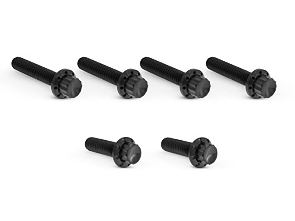 Arlen Ness AN-300-704 Titanium 12-Point Transmission Side Cover Bolt Kit Black for Harley-Davidson Touring 07-23/Softail 07-24/Dyna 06-17