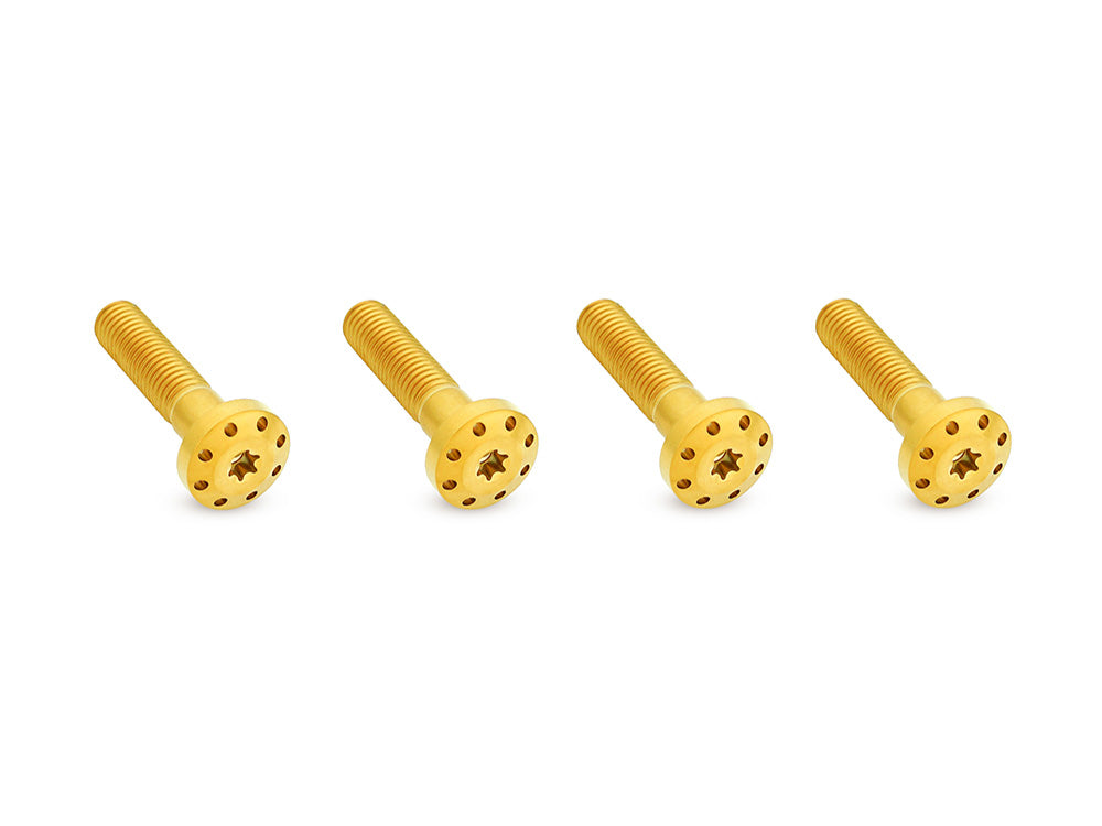 Arlen Ness AN-300-748 Titanium Holeshot Shock Absorber Bolt Kit Gold for Harley-Davidson Touring 99-Up