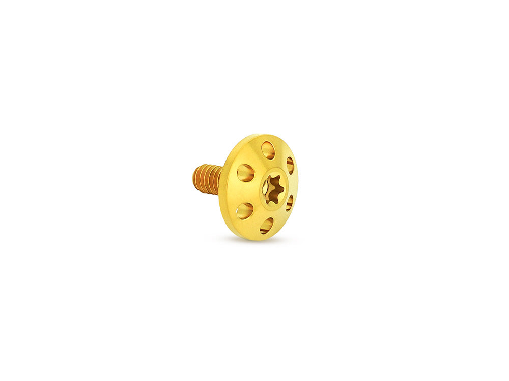 Arlen Ness AN-300-754 Titanium Holeshot 1/4"-20 Seat Mount Screw Gold for Harley-Davidson 96-Up