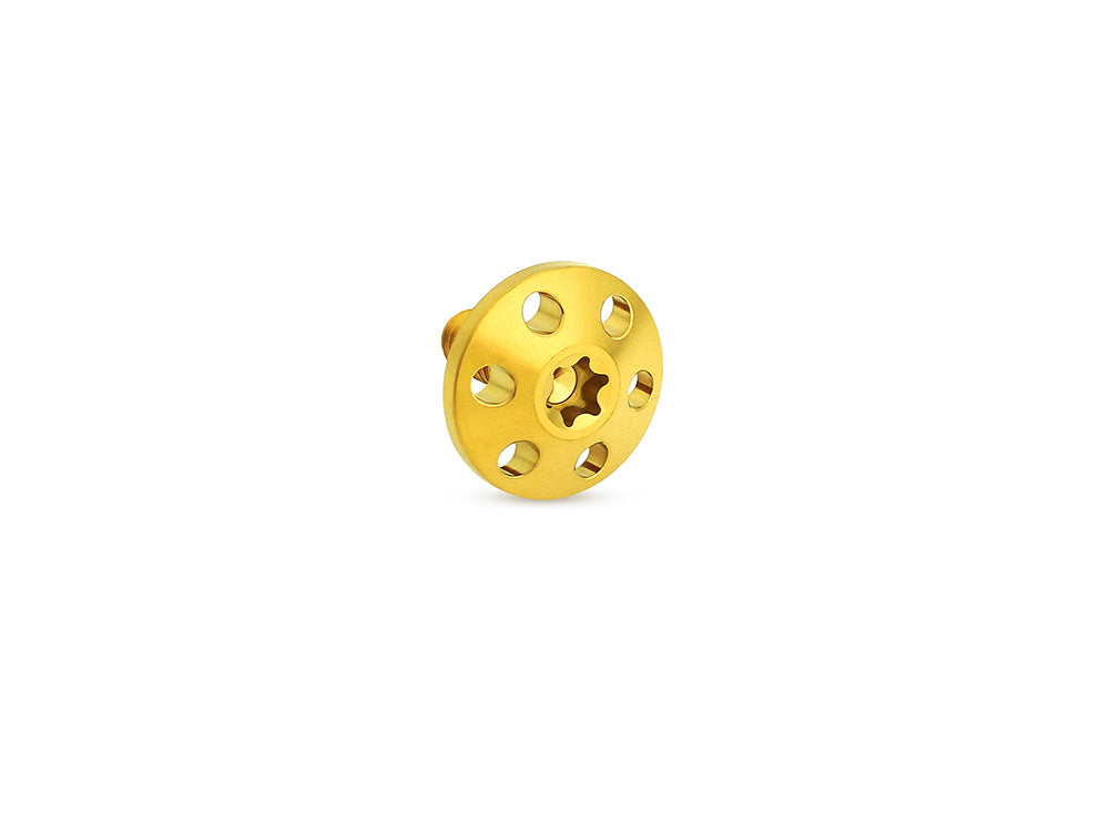 Arlen Ness AN-300-754 Titanium Holeshot 1/4"-20 Seat Mount Screw Gold for Harley-Davidson 96-Up