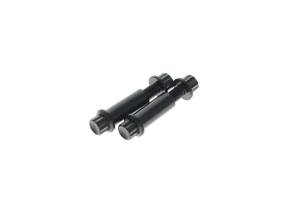 Arlen Ness AN-300-801 Titanium 12-Point Footpeg Mounting Hardware Black for H-D Male Mount Footpegs