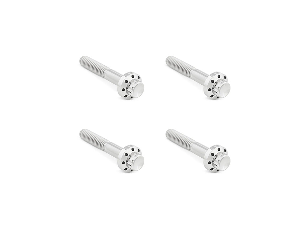 Arlen Ness AN-300-818 Titanium 12-Point Front Fender Mounting Hardware Polished for Harley-Davidson Touring 09-Up