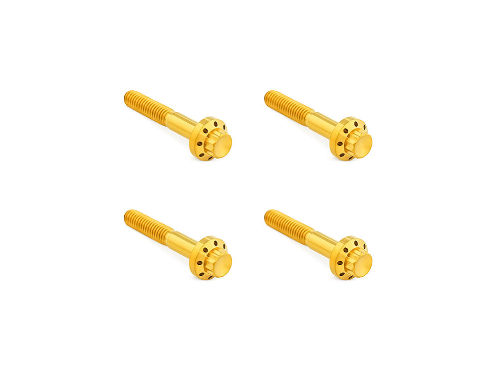 Arlen Ness AN-300-820 Titanium 12-Point Front Fender Mounting Hardware Gold for Harley-Davidson Touring 09-Up
