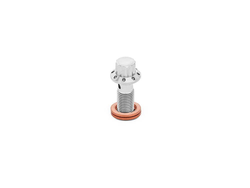 Arlen Ness AN-300-824 Titanium 12-Point 3/8" Banjo Bolt Polished