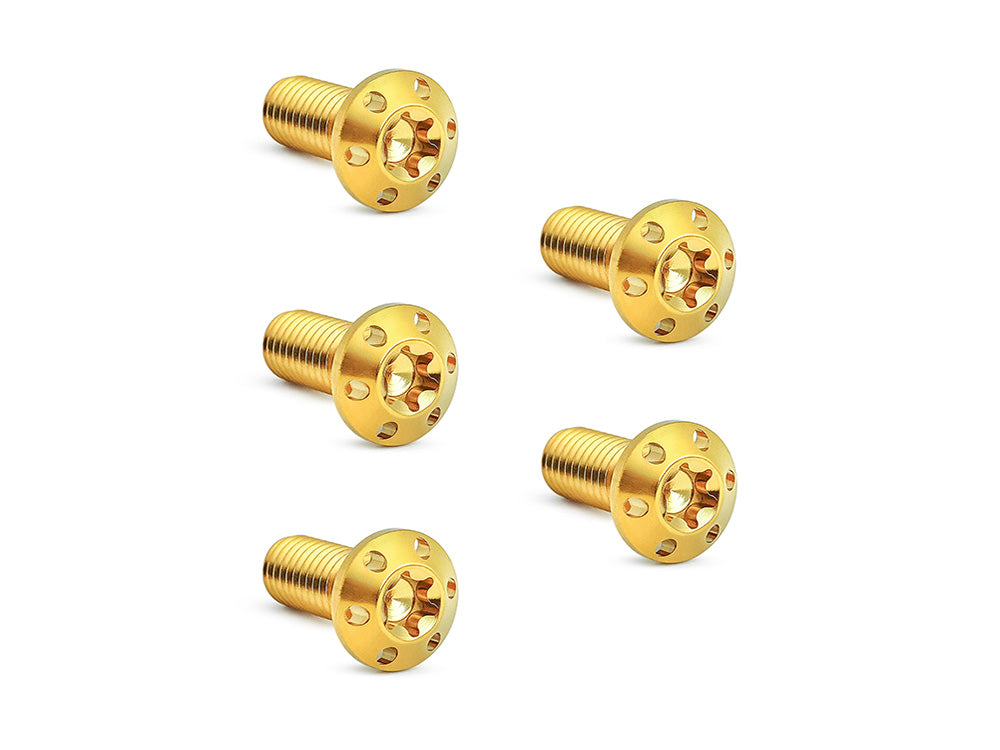 Arlen Ness AN-300-914 Titanium Front Disc Rotor Bolts Gold for Harley-Davidson Big Twin 84-Up/Sportster 84-21