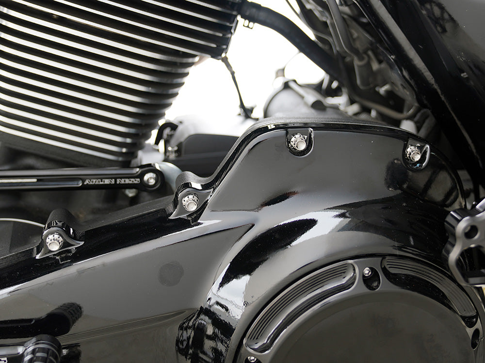 Arlen Ness AN-300-926 Titanium 12-Point Primary Cover Bolt Kit Polished for Harley-Davidson Softail 2007-2017 w/Non-240 Tyre/Touring 17-Up