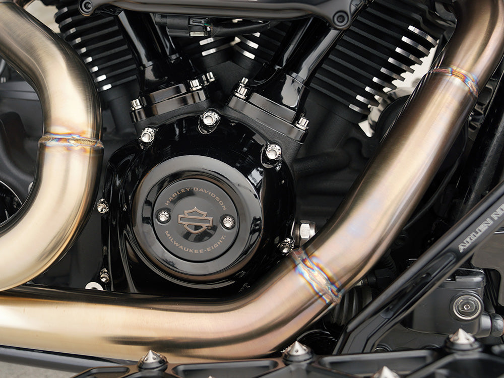 Arlen Ness AN-300-932 Titanium 12-Point Cam Cover Bolt Kit Polished for most Harley-Davidson Touring 17-24/Softail 18-24