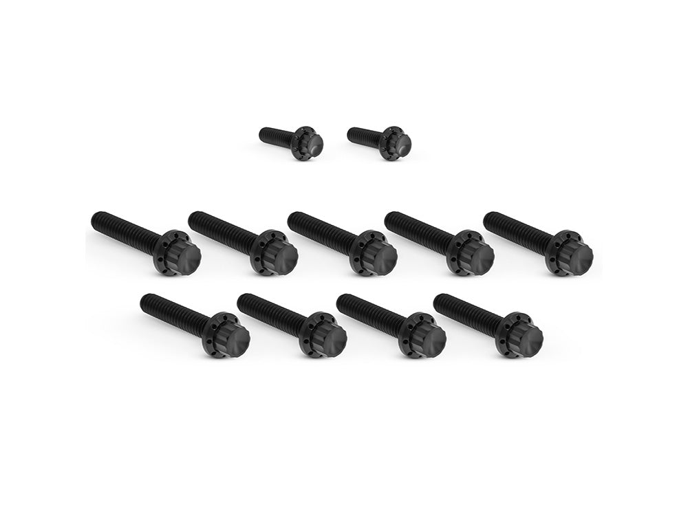 Arlen Ness AN-300-933 Titanium 12-Point Cam Cover Bolt Kit Black for most Harley-Davidson Touring 17-24/Softail 18-24