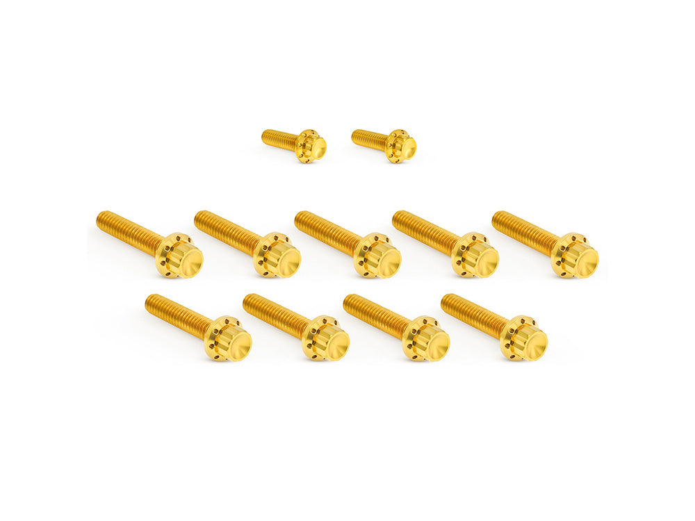 Arlen Ness AN-300-934 Titanium 12-Point Cam Cover Bolt Kit Gold for most Harley-Davidson Touring 17-24/Softail 18-24
