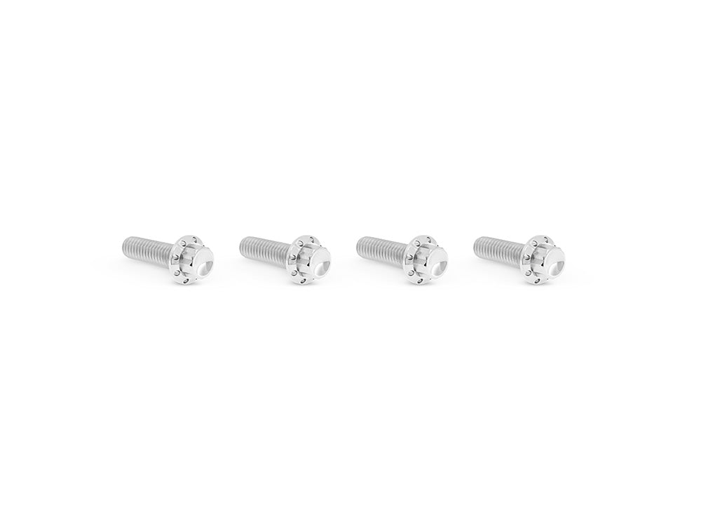 Arlen Ness AN-300-977 Titanium 12-Point Transmission Top Cover Bolt Kit or Clutch & Brake Perch Bolt Kit Polished for Harley-Davidson CVO Touring 23-Up/Street Glide/Road Glide 24-Up/Touring/Softail 25-Up
