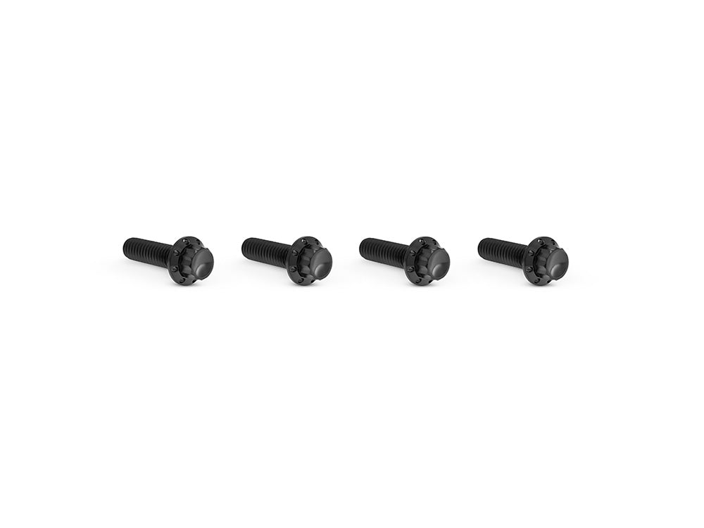 Arlen Ness AN-300-978 Titanium 12-Point Transmission Top Cover Bolt Kit or Clutch & Brake Perch Bolt Kit Black for Harley-Davidson CVO Touring 23-Up/Street Glide/Road Glide 24-Up/Touring/Softail 25-Up