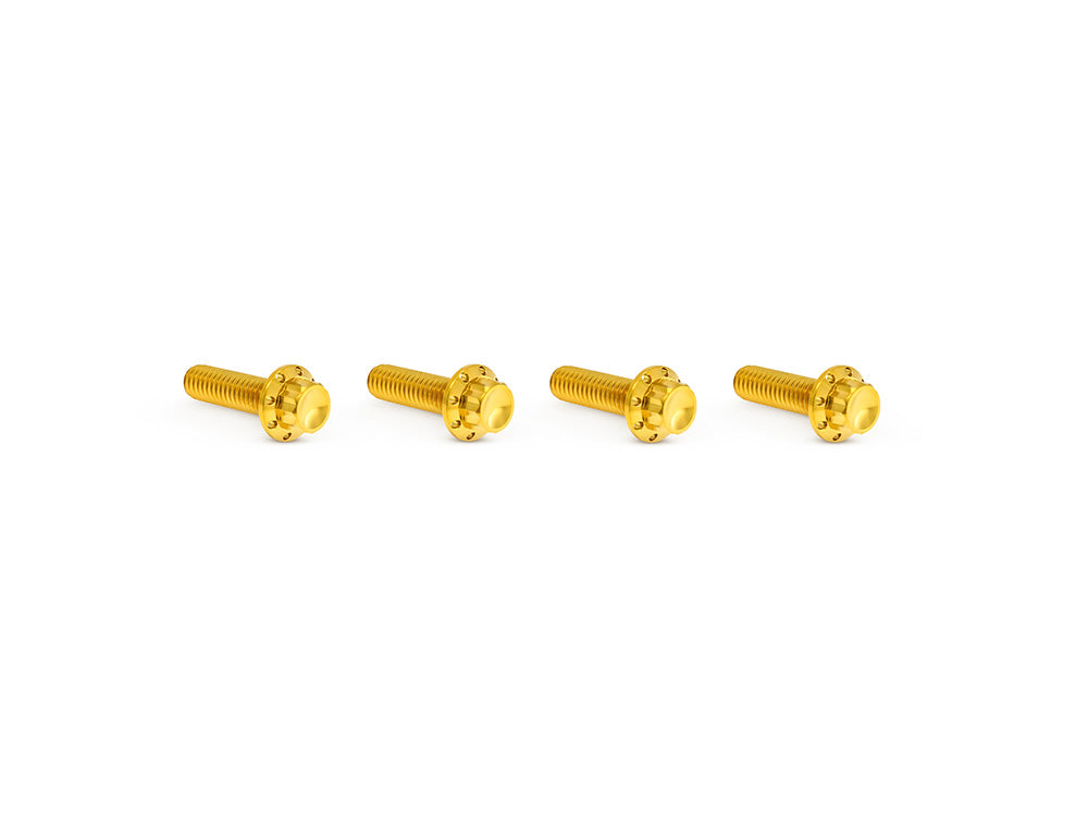 Arlen Ness AN-300-979 Titanium 12-Point Transmission Top Cover Bolt Kit or Clutch & Brake Perch Bolt Kit Gold for Harley-Davidson CVO Touring 23-Up/Street Glide/Road Glide 24-Up/Touring/Softail 25-Up