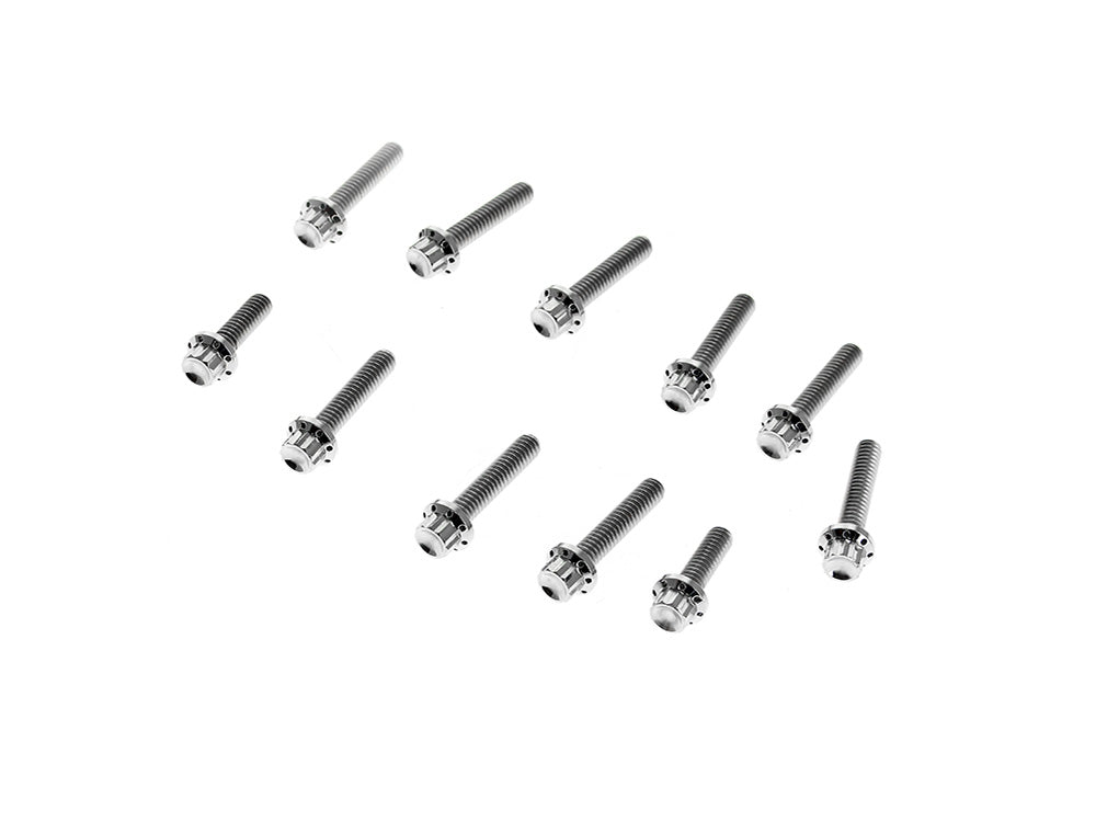 Arlen Ness AN-300-980 Titanium 12-Point Cam Cover Bolt Kit Polished for Harley-Davidson CVO Touring 23-Up/Street Glide/Road Glide 24-Up/Touring/Softail 25-Up