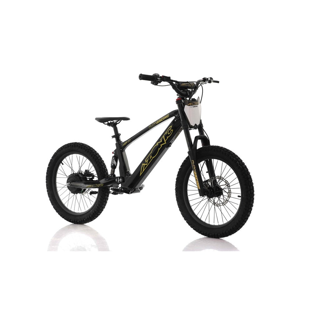 Azonic Flow 20 36V/7.2Ah/750W Electric Balance Bike Black/Gold