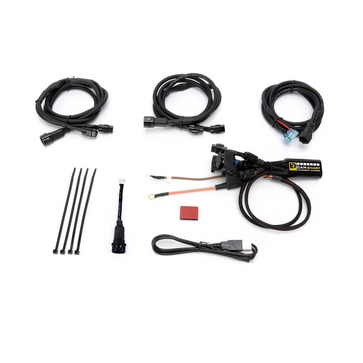 Denali CANsmart Gen II Controller for BMW R1200 Hex Head Models