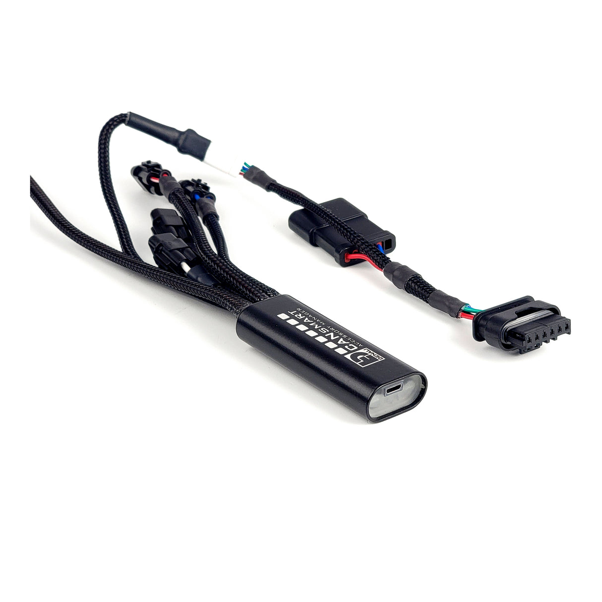 Denali CANsmart Gen II Controller for BMW R1300GS 24-Up