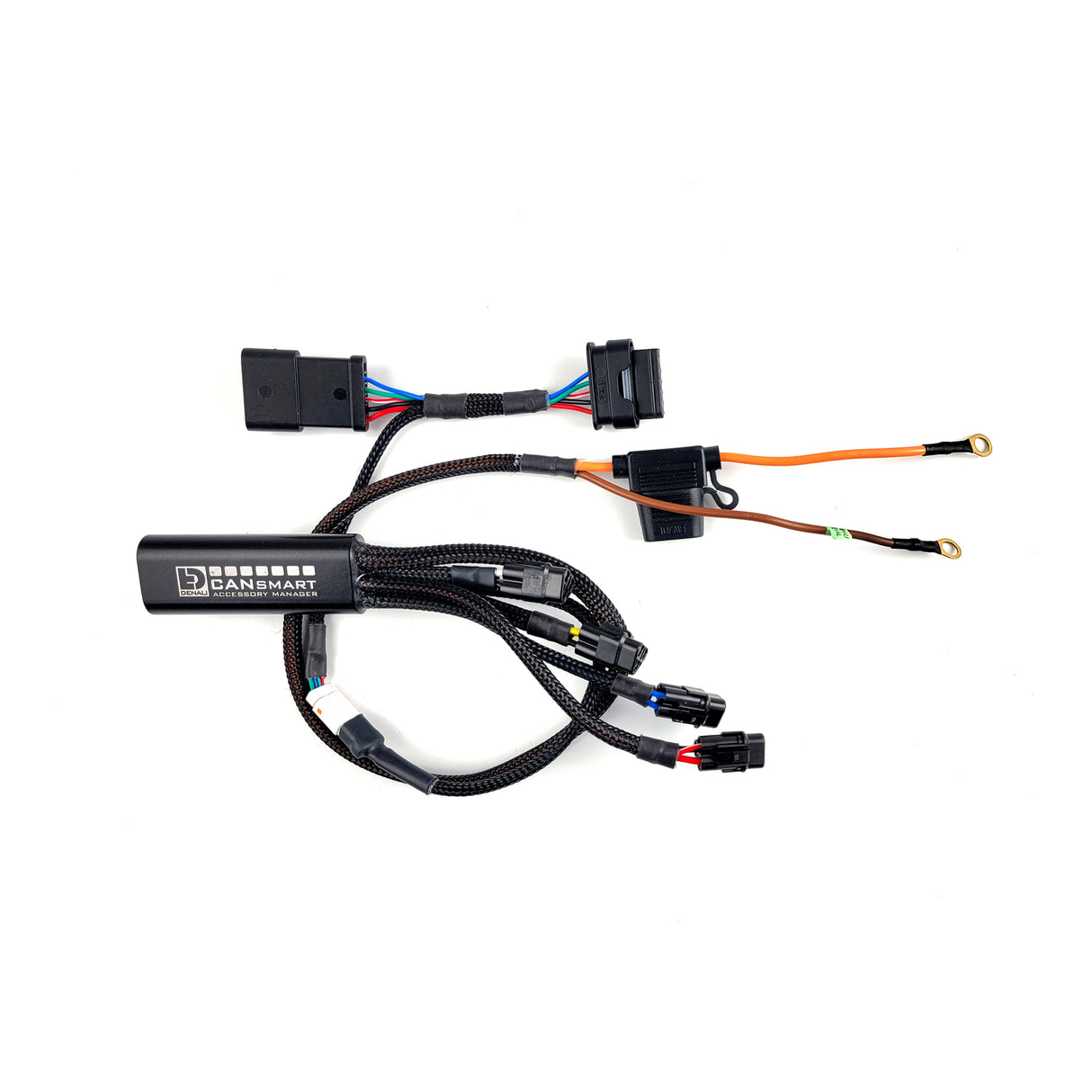 Denali CANsmart Gen II Controller for BMW R1300GS 24-Up