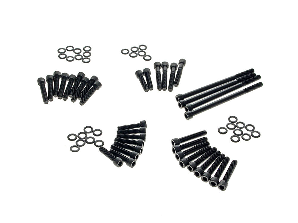 Figurati Designs FIG-FD100-M8-BOLT-BK Polished Allen Head Show Bike Kit Black Stainless Steel for Milwaukee-Eight 17-Up