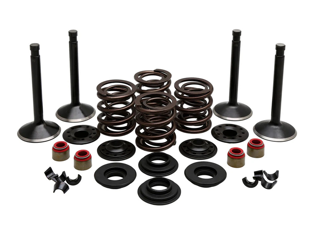 Kibblewhite KPM-20-22150 Valve & Spring Engine Kit for Harley-Davidson Panhead Big Twin 48-65