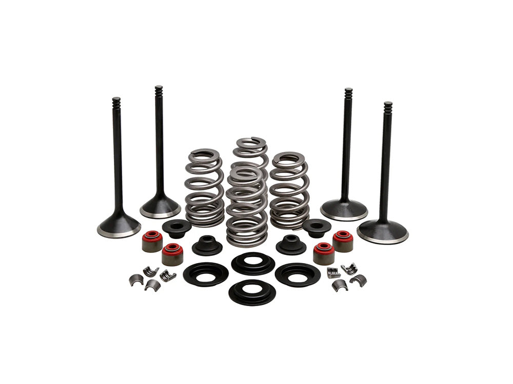 Kibblewhite KPM-20-22950 Valve & Spring Engine Kit for Harley-Davidson 1200cc Sportster 04-21