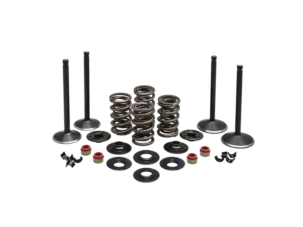 Kibblewhite KPM-20-23050 Valve & Spring Engine Kit for Harley-Davidson Twin Cam 99-04
