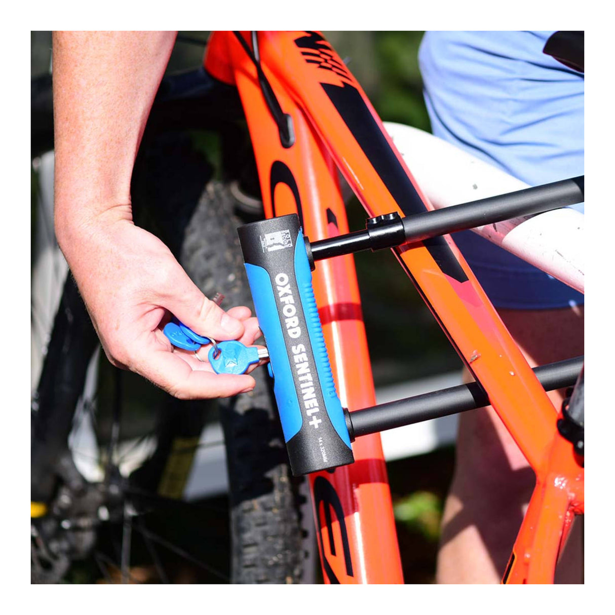 Oxford Sentinel Pro U-Lock (260mm x 177mm)