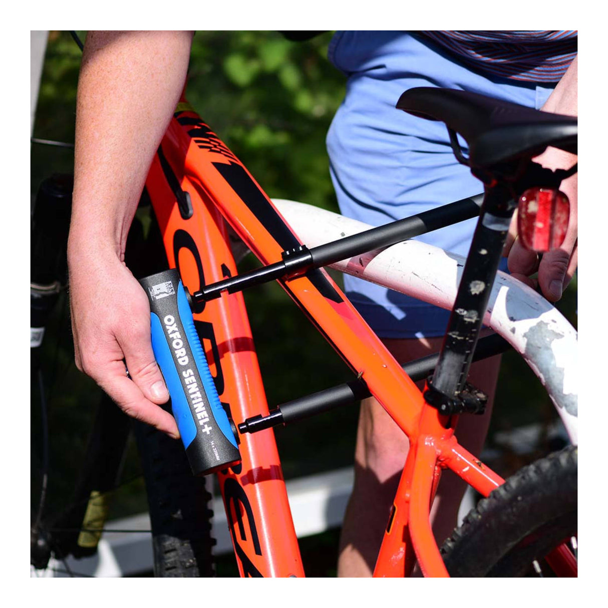 Oxford Sentinel Pro U-Lock (260mm x 177mm)