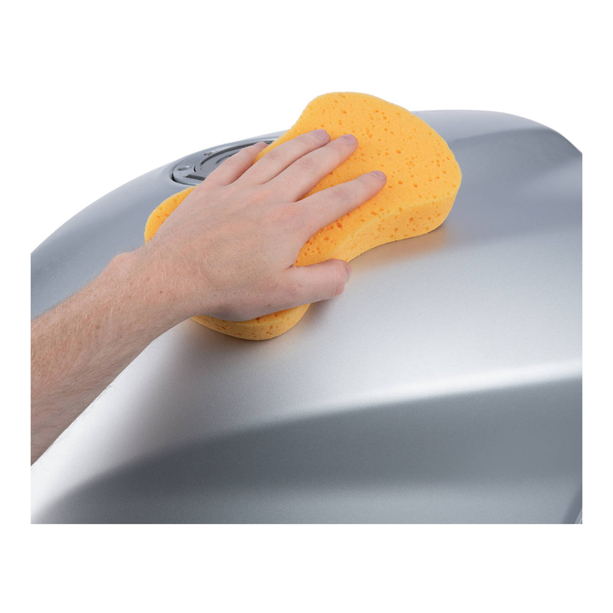 Oxford Expanding Sponge Yellow