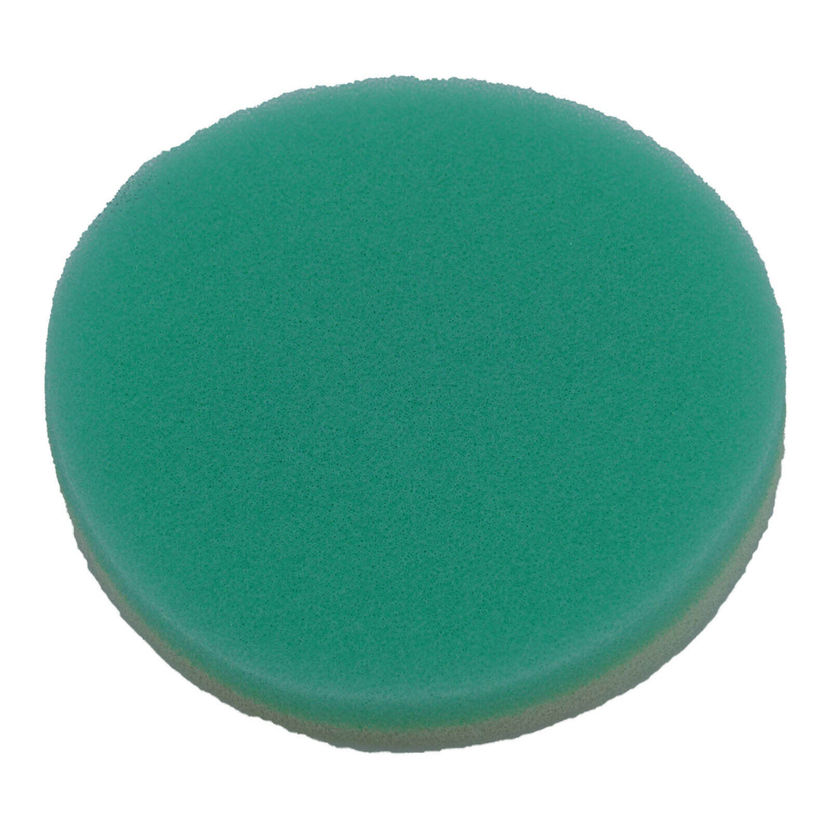 Putoline PUTAFHO429 Air Filter for Honda XR/CRF 50 00-18/XR/CRF 70 97-18