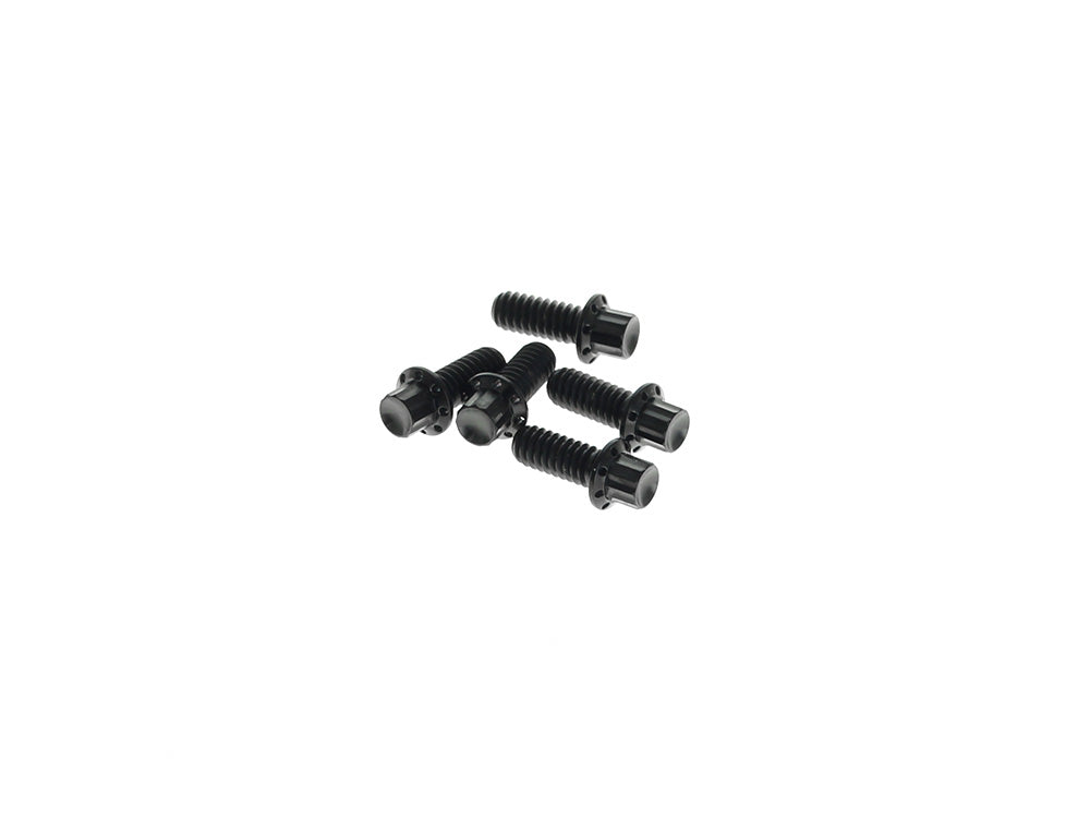 Arlen Ness AN-300-939 Titanium 12-Point Derby Cover Bolt Kit Black for Harley-Davidson Touring 07-Up/Softail 07-17/Dyna 06-17