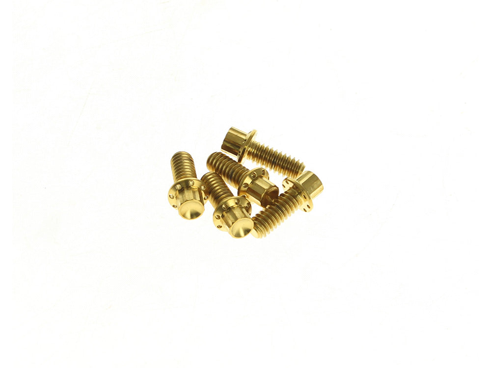 Arlen Ness AN-300-940 Titanium 12-Point Derby Cover Bolt Kit Gold for Harley-Davidson Touring 07-Up/Softail 07-17/Dyna 06-17