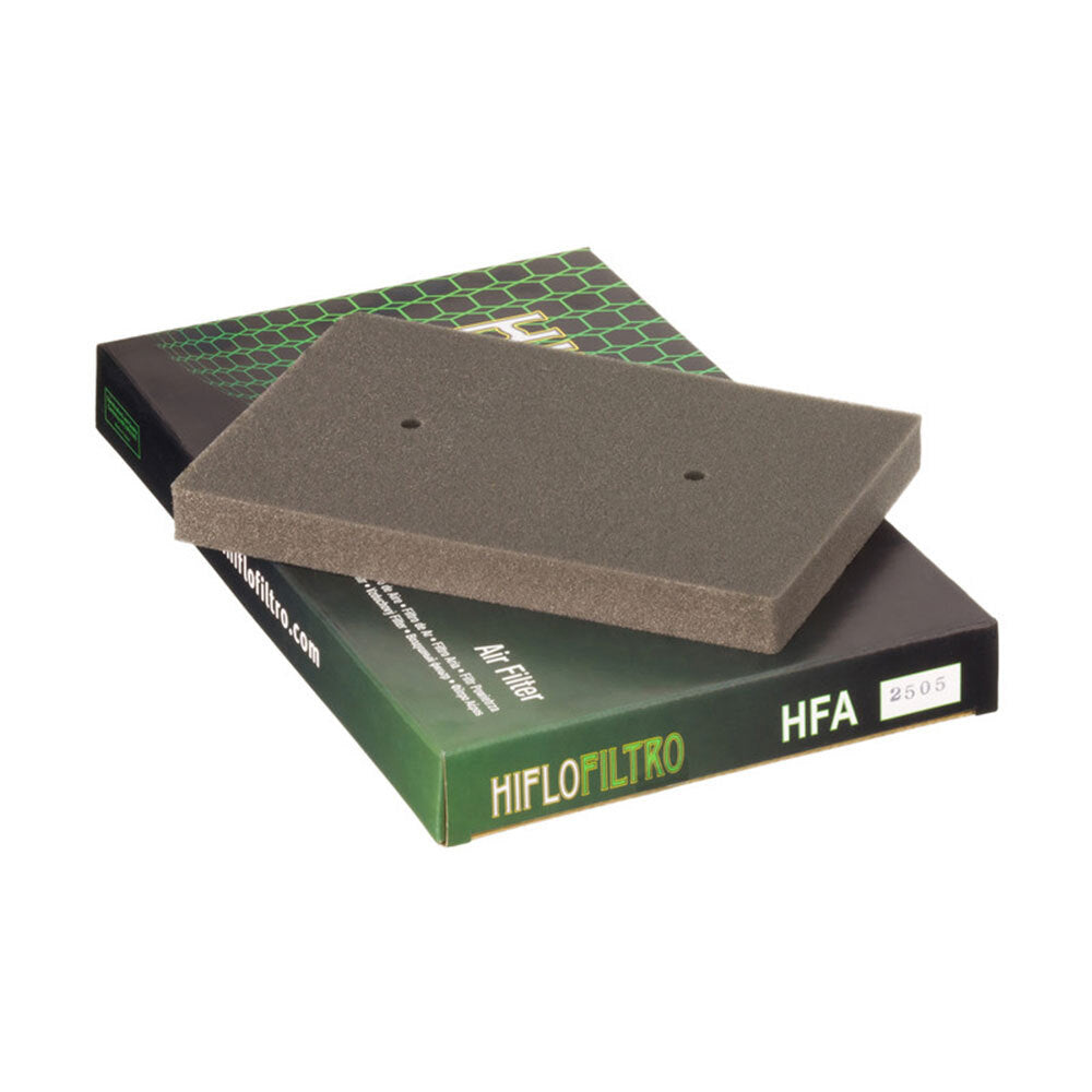 HifloFiltro 47-250-50 Air Filter Element HFA2505