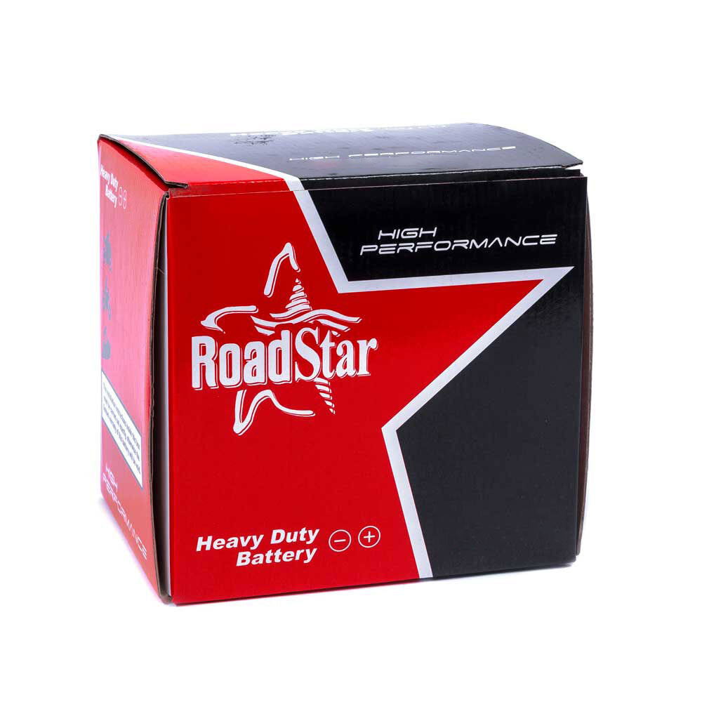 Roadstar Standard Series 6N4-2A 6 Volt 4Ah Battery