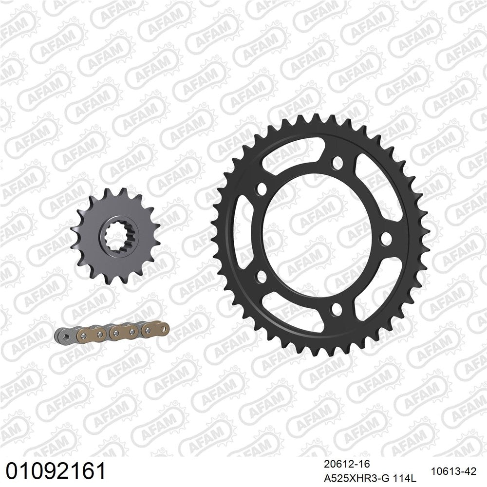 AFAM AF01092161 A525XHR3-G 114L Chain & 16-42T Steel Sprocket Kit for Honda CMX1100A Rebel 21-23