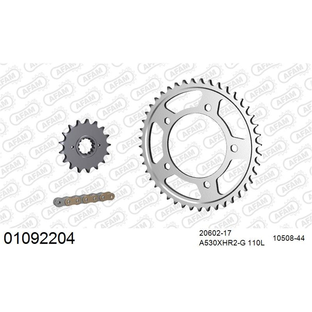 AFAM AF01092204 A530XHR2-G 110L Chain & 17-44T Steel Sprocket Kit for Honda CBR1100XX 97-08
